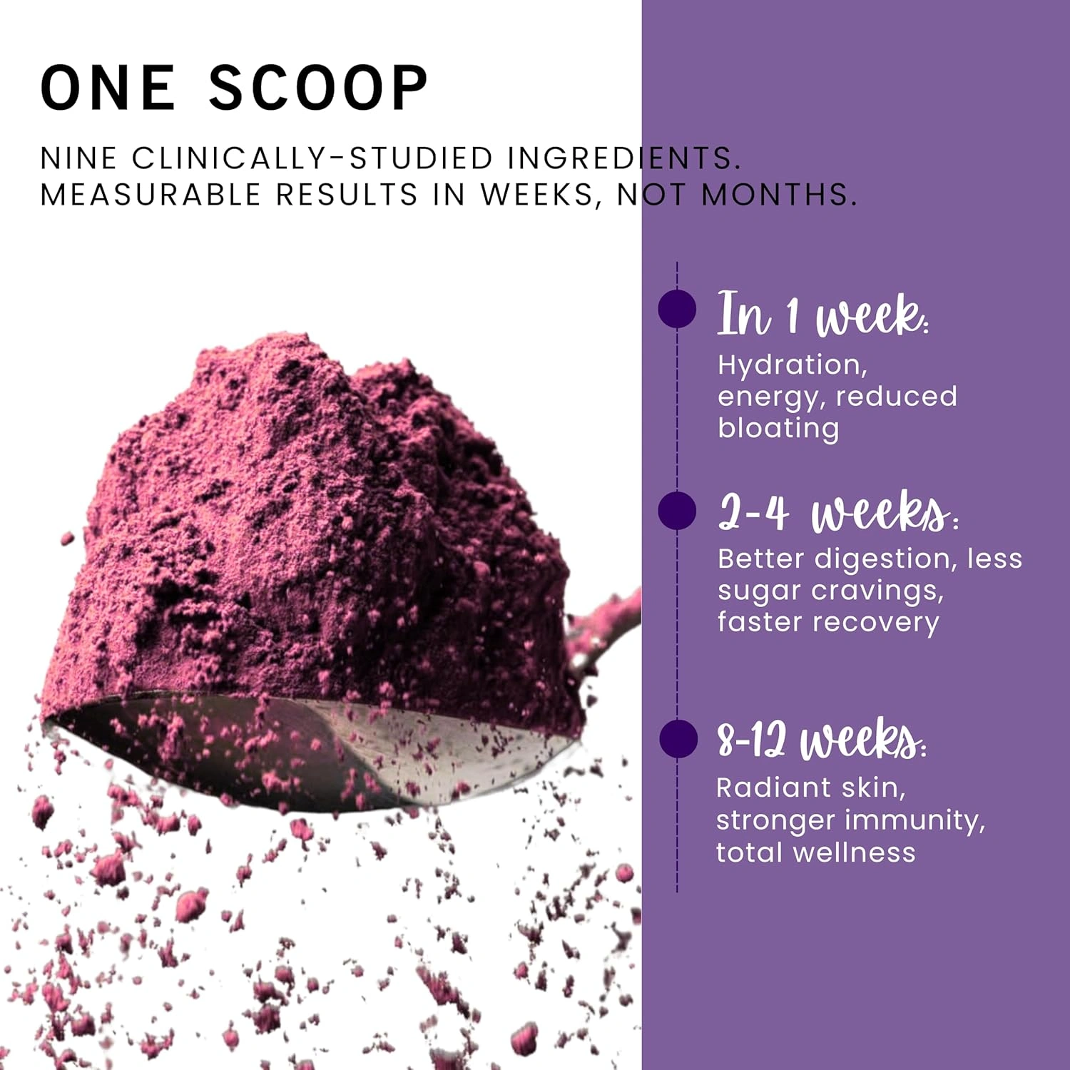 Amazon Infographic sample