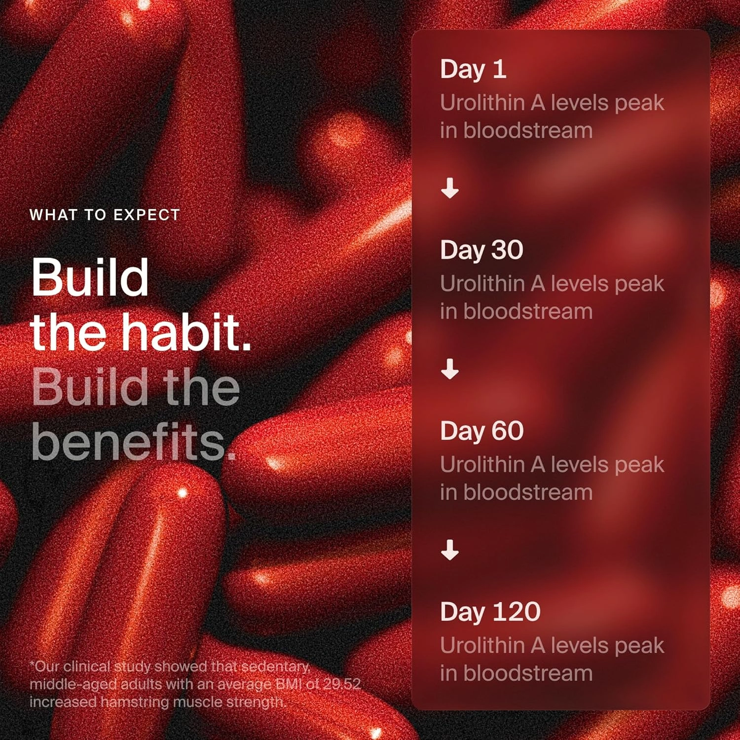 Amazon Infographic sample